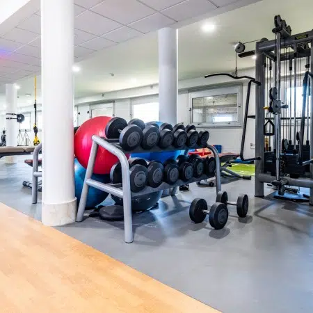 Salle de sport bien équipée avec des haltères et des ballons d'exercice - Plateaux de musculation | Clinalliance Paris