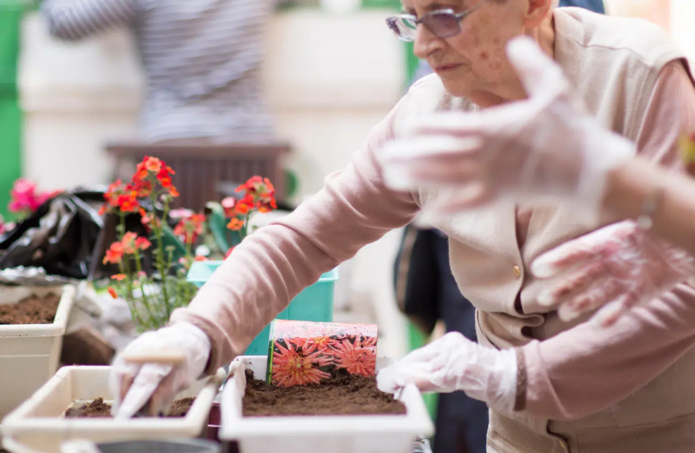 Femme agées entrain de jardiner - activités manuelles | Clinalliance Paris