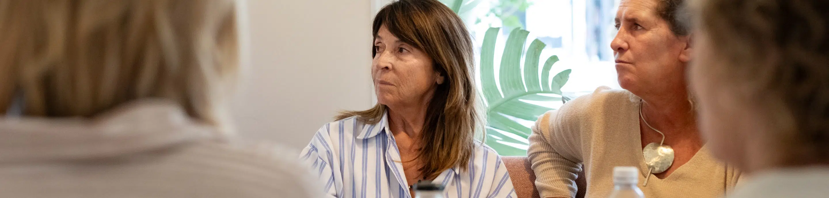 Conseil de Vie Sociale