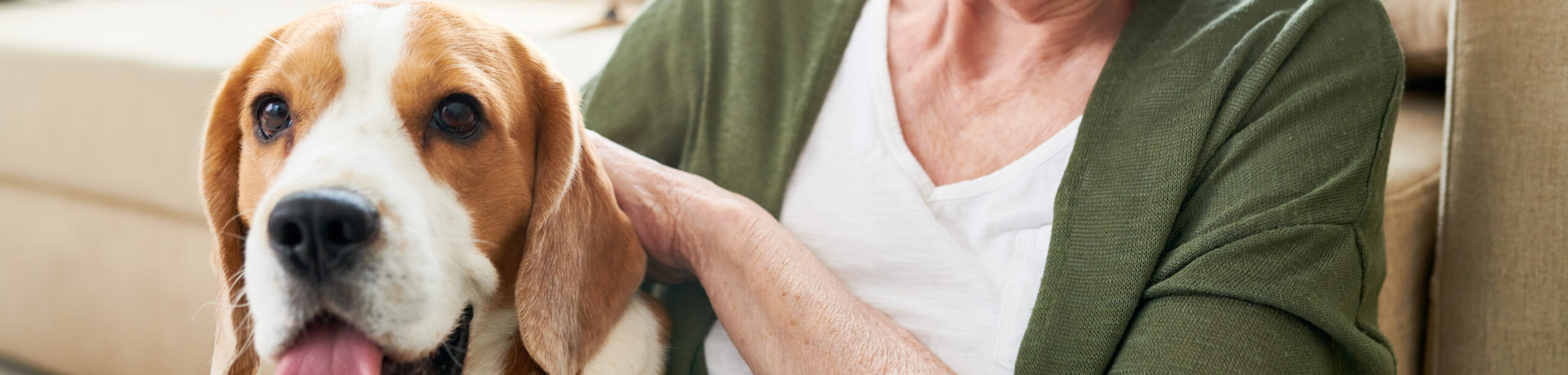 Animal de compagnie en résidence séniors | Clinalliance | Résidences Séniors