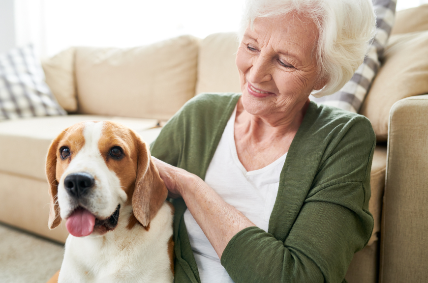 Animal de compagnie en résidence séniors | Clinalliance | Résidences Séniors